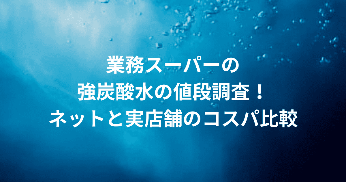 業務用スーパー 強炭酸水 値段